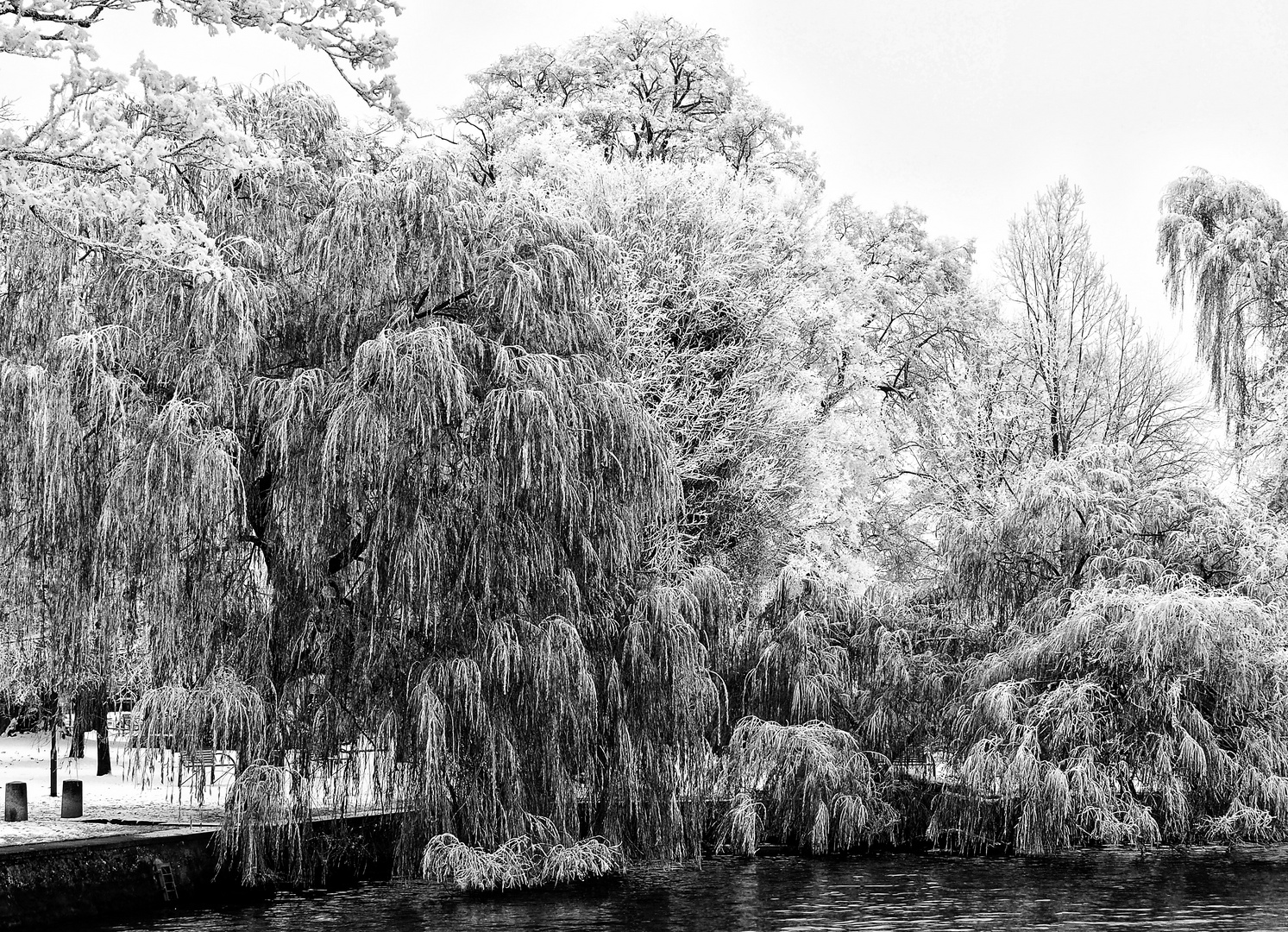 ... winterlandschaft      