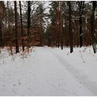 Winterlandschaft Dahlener Heide