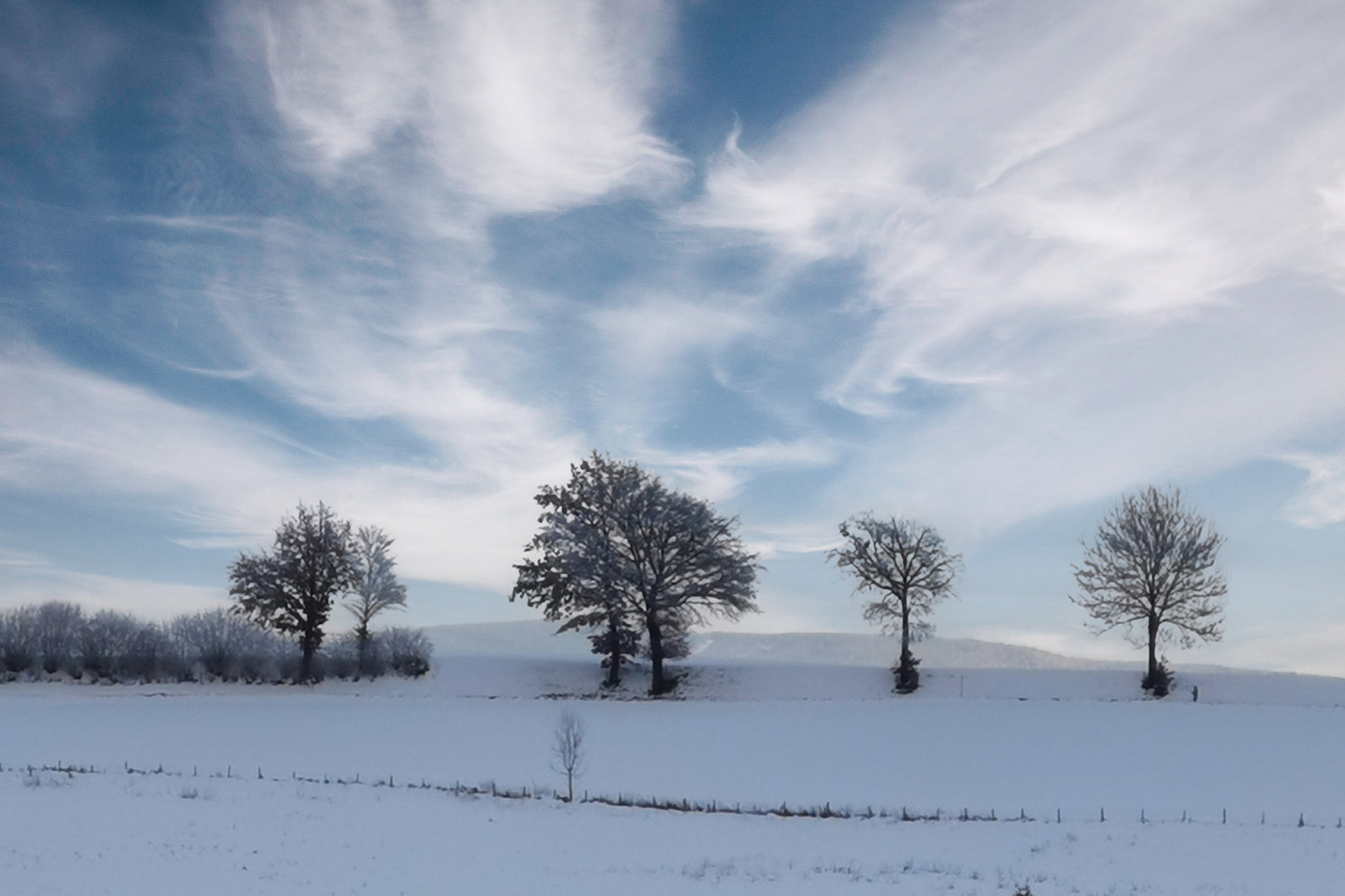 WINTERLANDSCHAFT