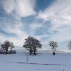 WINTERLANDSCHAFT