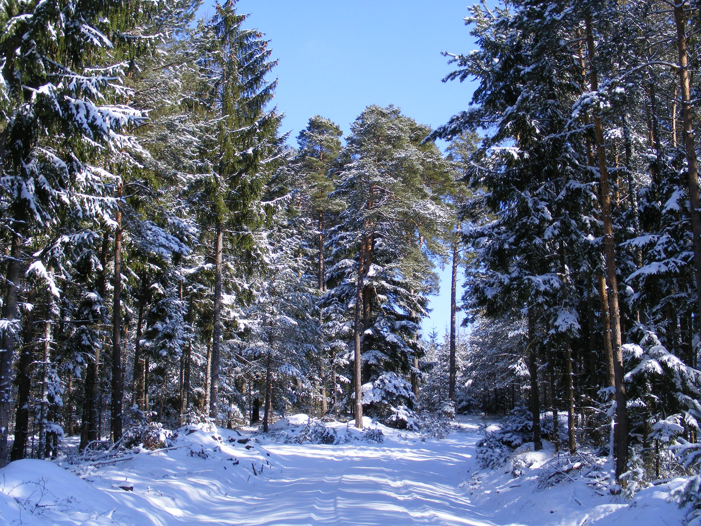 Winterlandschaft