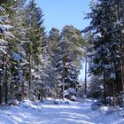 Winterlandschaft