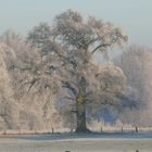 Winterlandschaft