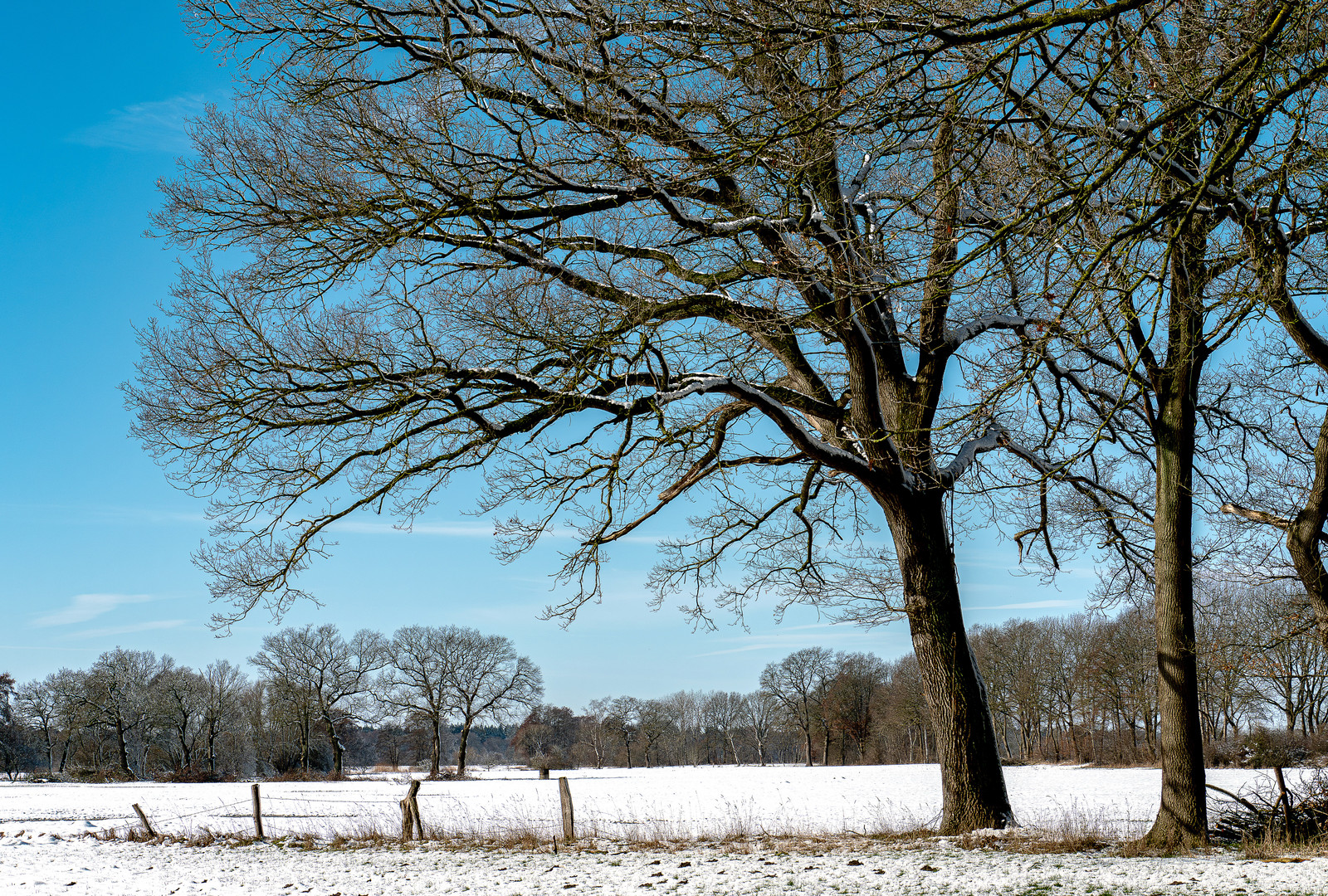 Winterlandschaft