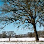 Winterlandschaft