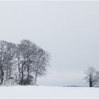 Winterlandschaft