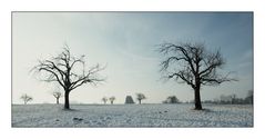 Winterlandschaft