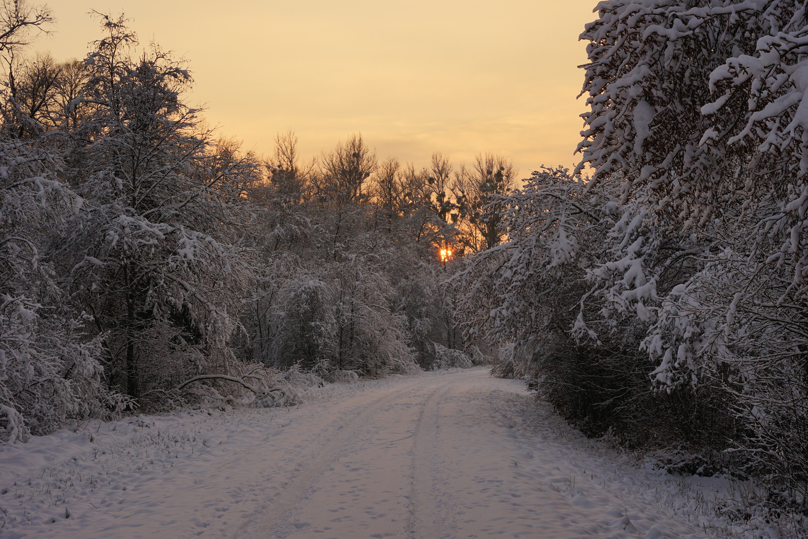 Winterlandschaft