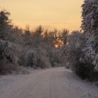 Winterlandschaft