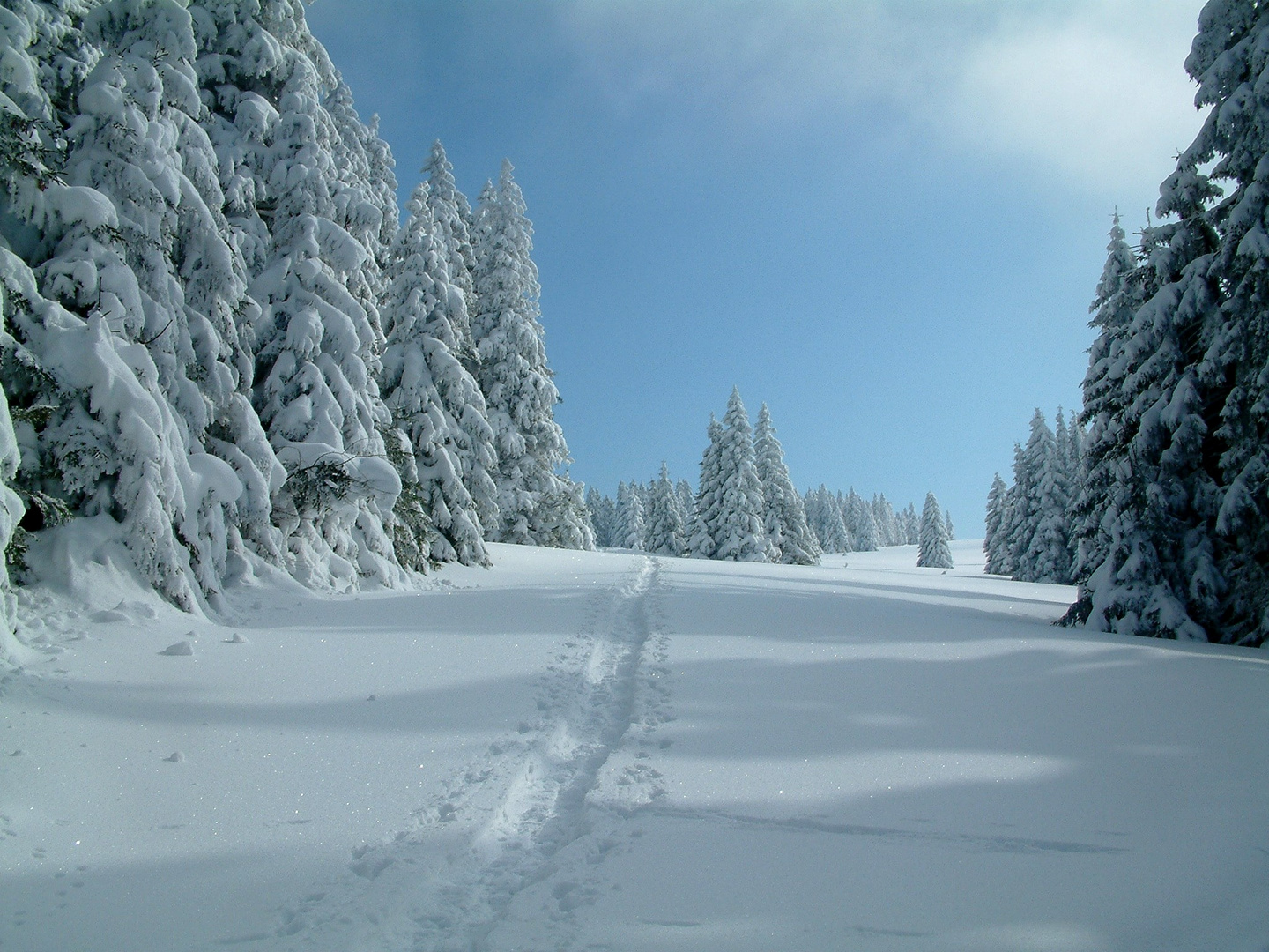 Winterlandschaft