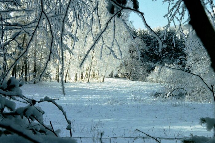 Winterlandschaft