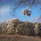 Winterlandschaft