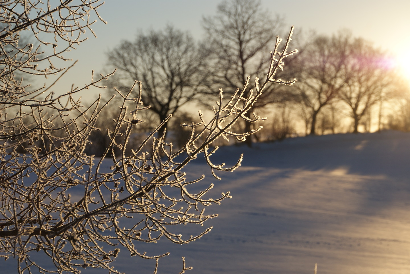 Winterlandschaft