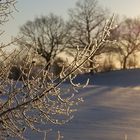 Winterlandschaft