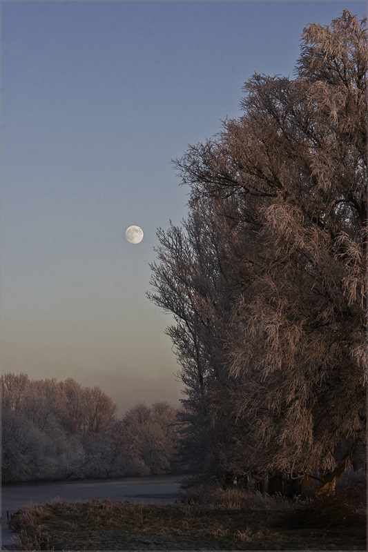 Winterlandschaft