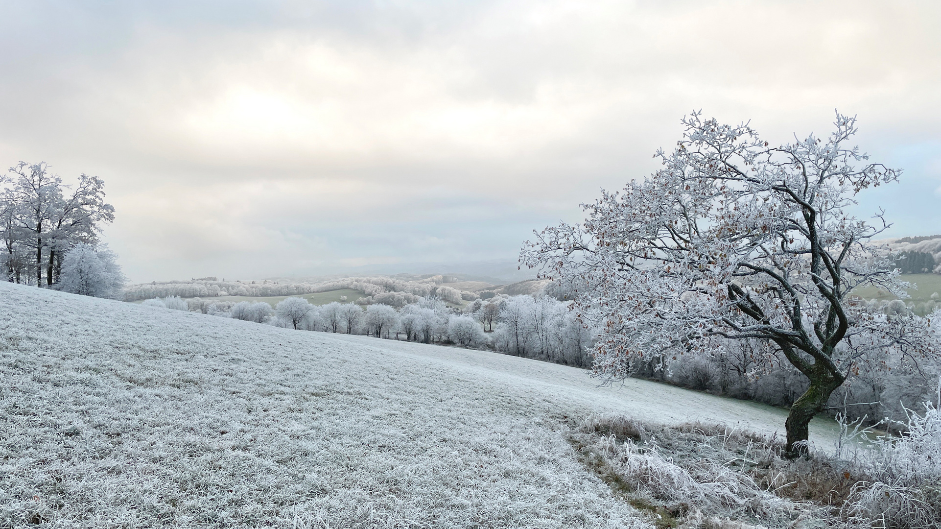 WINTERlandschaft