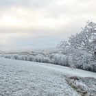 WINTERlandschaft