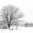 Winterlandschaft