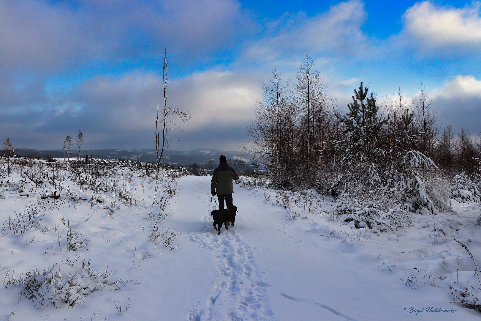 Winterlandschaft