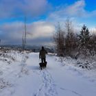 Winterlandschaft