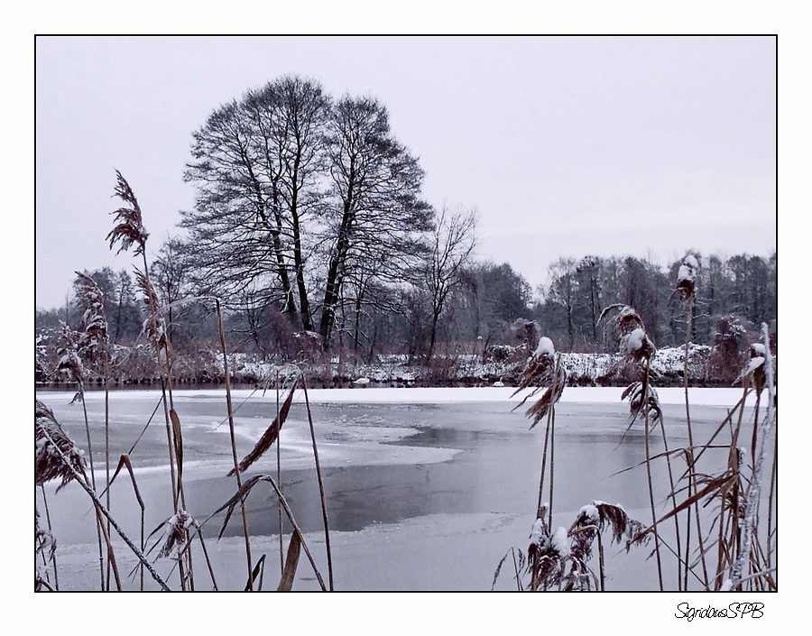 Winterlandschaft....