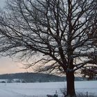 Winterlandschaft