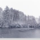 Winterlandschaft direkt bei uns vor der Haustüre.