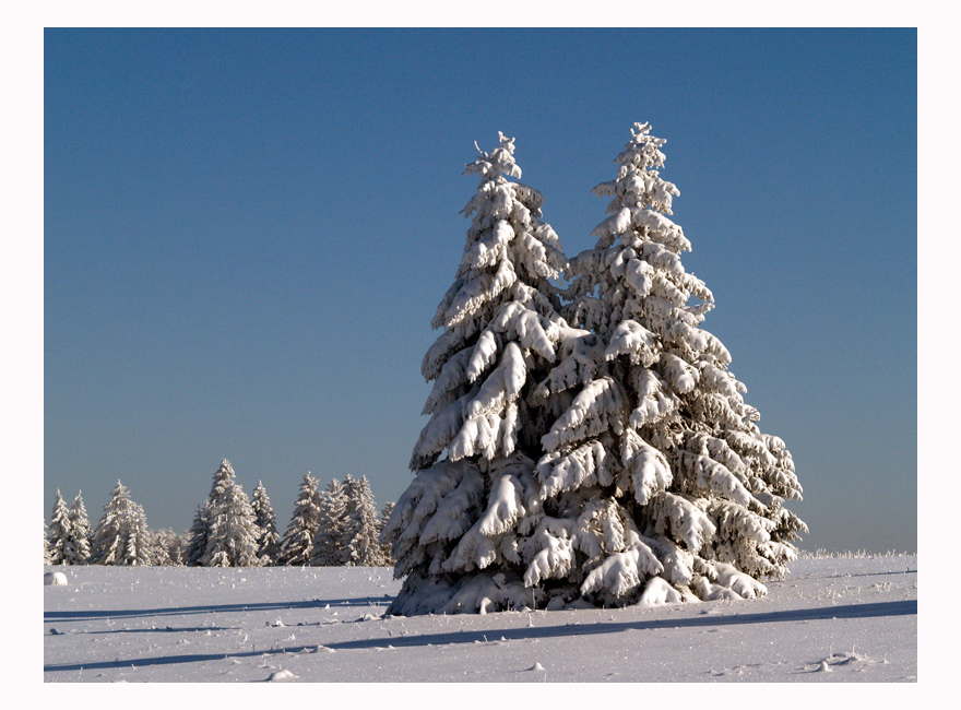 ~Winterlandschaft~