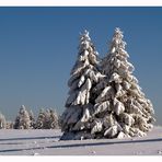 ~Winterlandschaft~