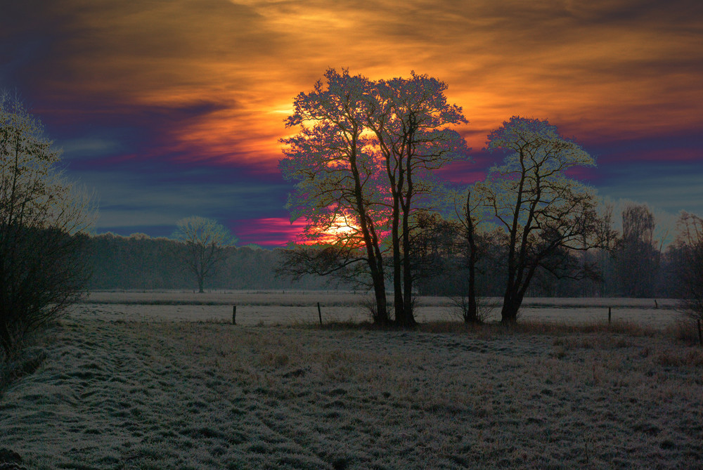 Winterlandschaft