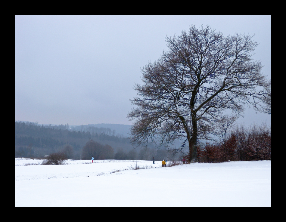 Winterlandschaft