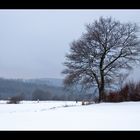 Winterlandschaft