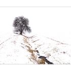 Winterlandschaft