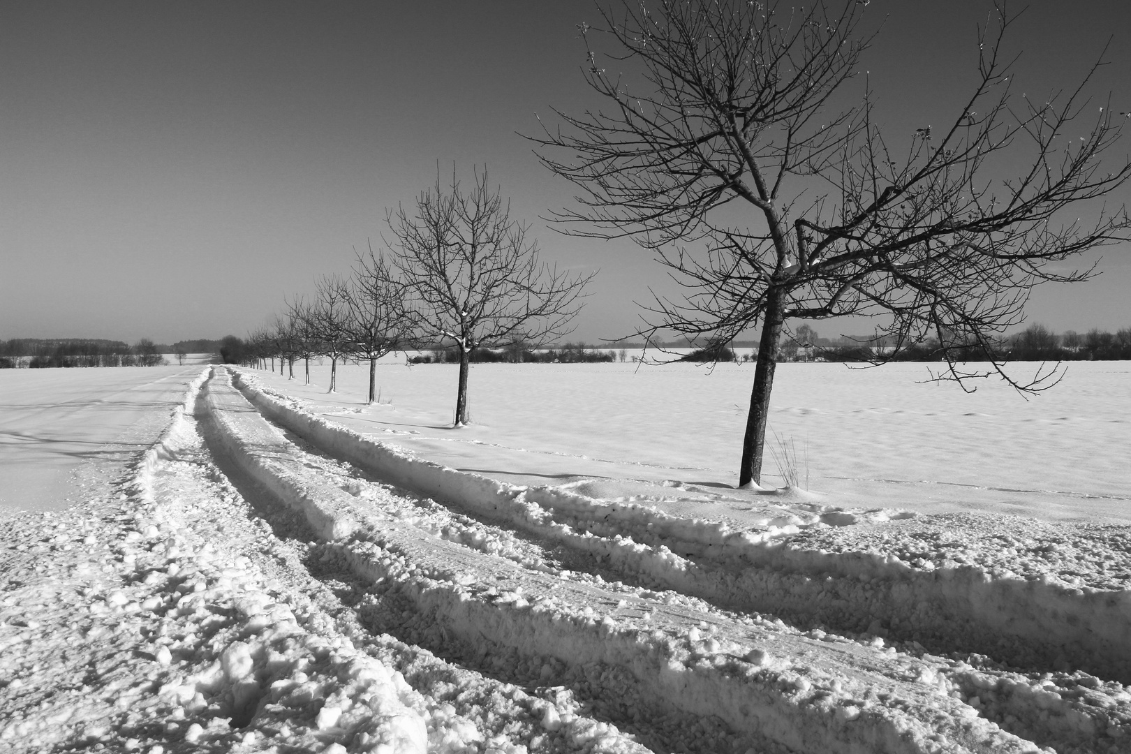 Winterlandschaft