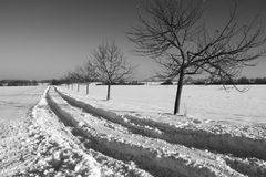 Winterlandschaft