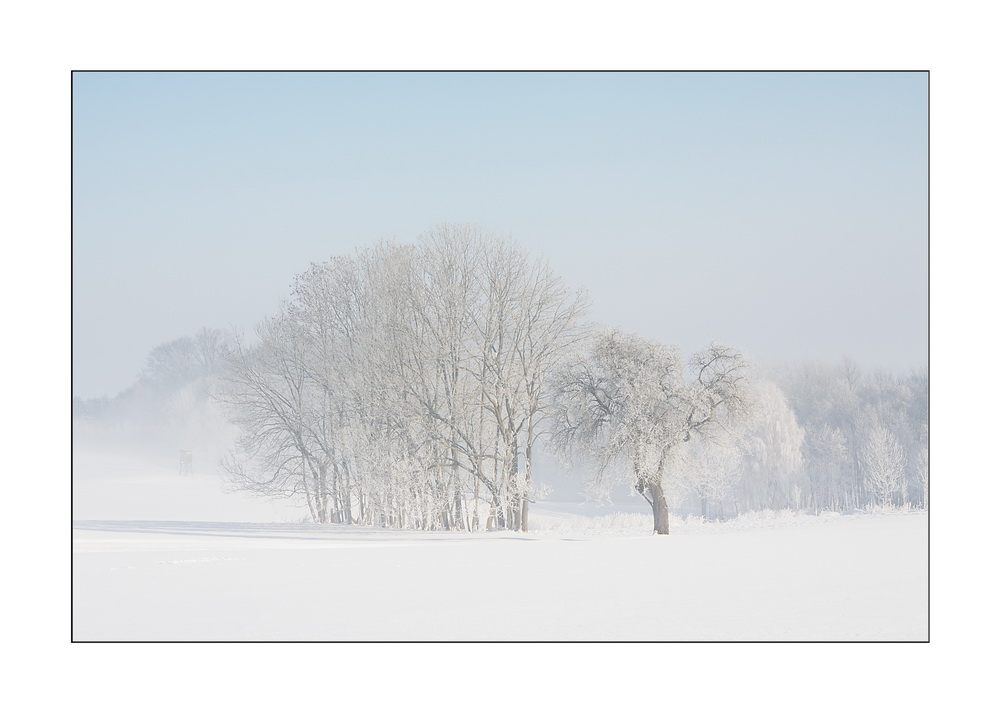 Winterlandschaft