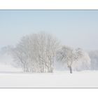 Winterlandschaft