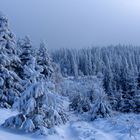 Winterlandschaft