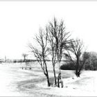 WinterLandschaft