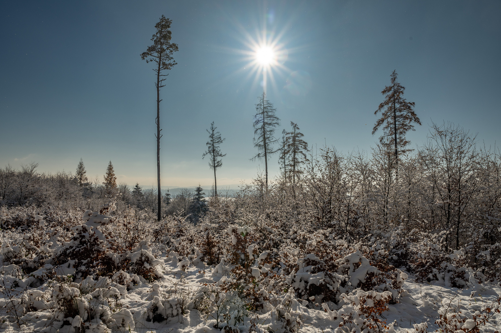 Winterlandschaft