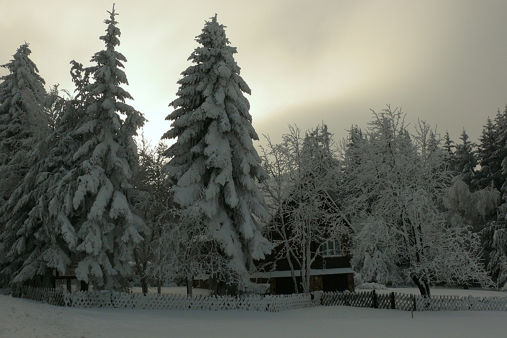 Winterlandschaft