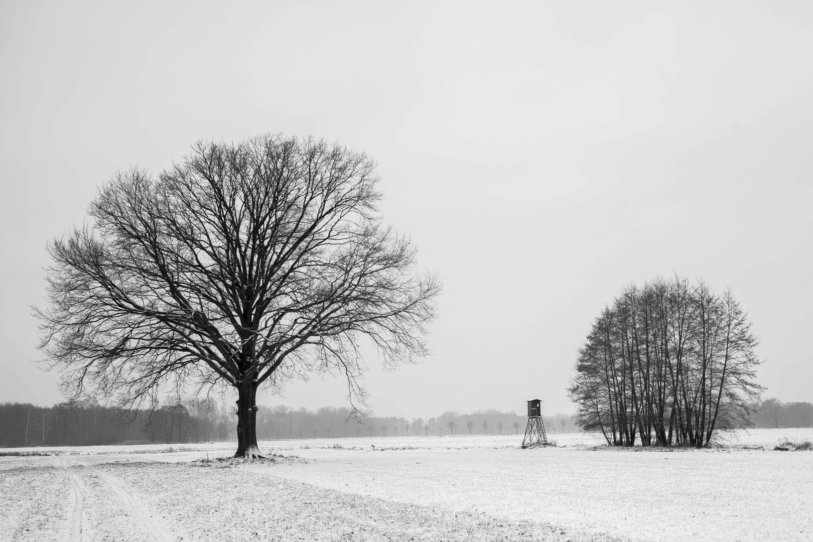 Winterlandschaft