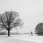 Winterlandschaft