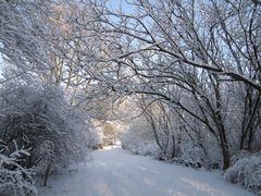 Winterlandschaft