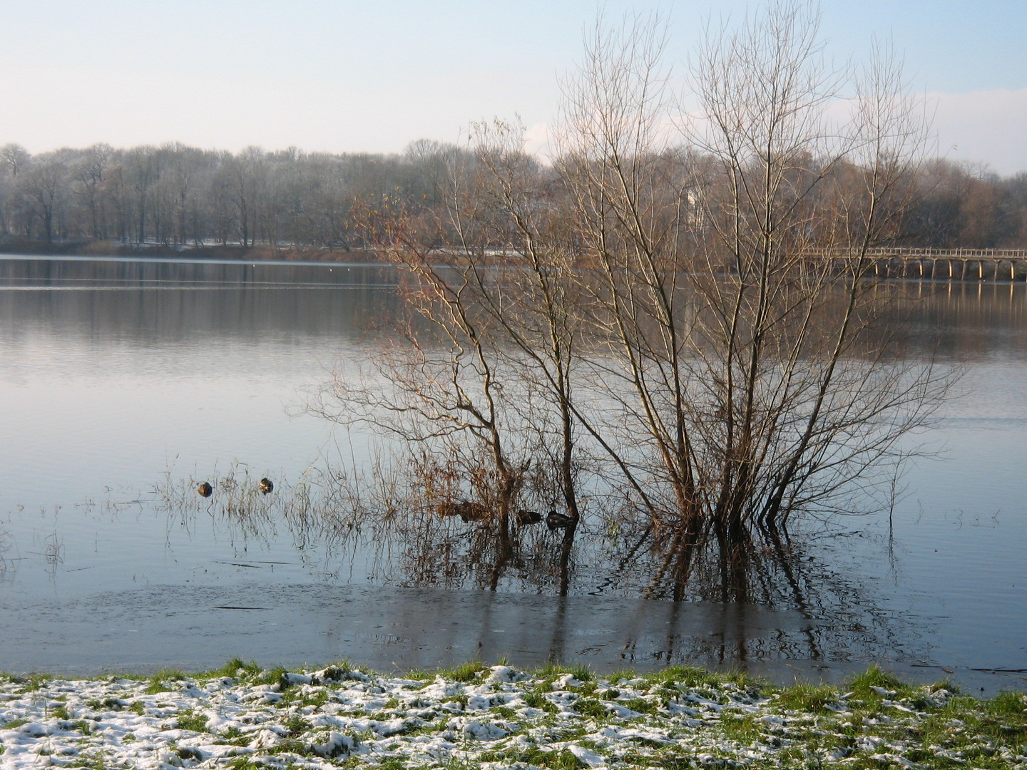 Winterlandschaft