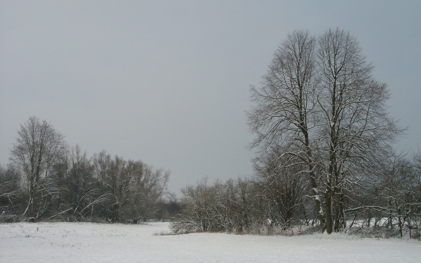 winterlandschaft