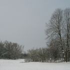 winterlandschaft