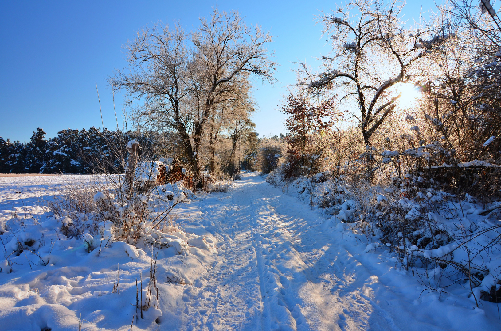 Winterlandschaft