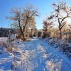 Winterlandschaft