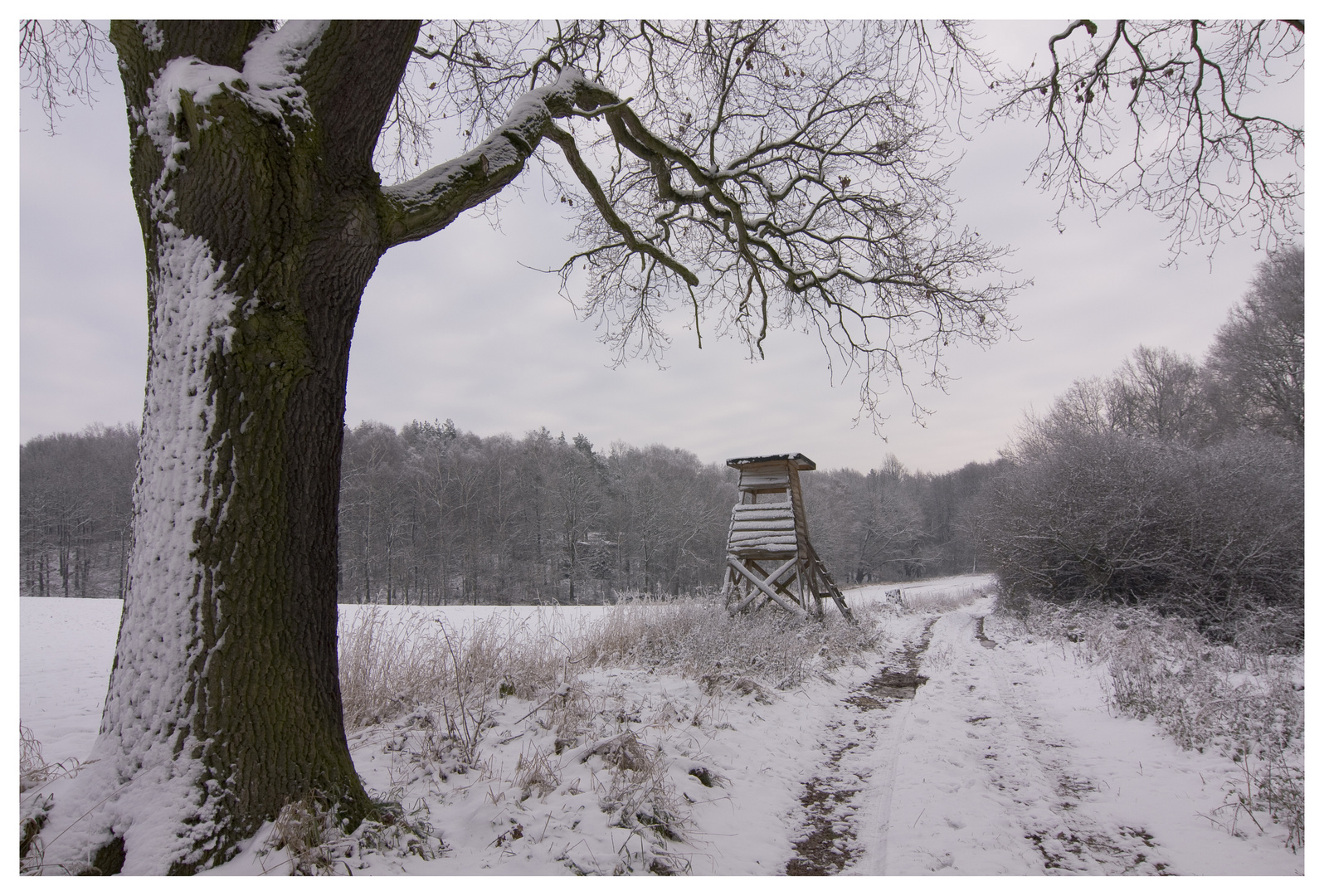 Winterlandschaft